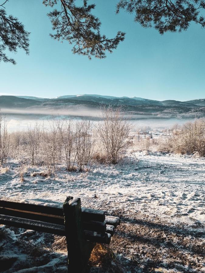 Domek Drwala K. Karpacza Villa Sosnówka Kültér fotó